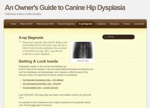 screen shot of web site